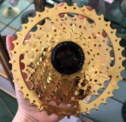 FREE WHEEL SURFACE PHOTOS